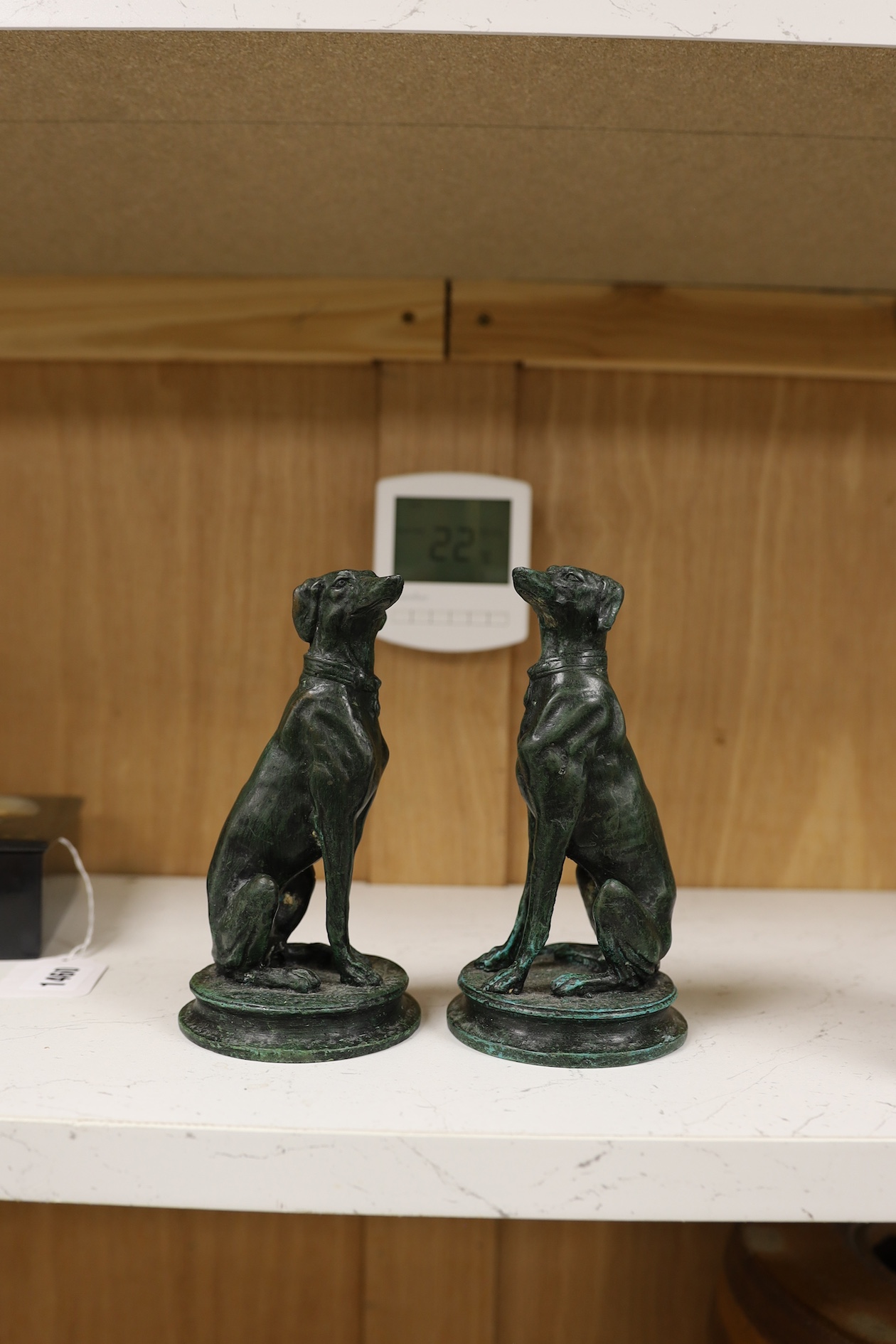 A pair of bronze seated whippets, 16.5cm high. Condition - fair